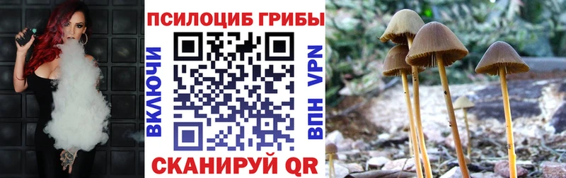 Купить закладки  Назарово  Галлюциногенные грибы мицелий 